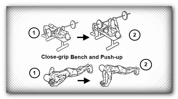 Biceps And Triceps Exercise Chart